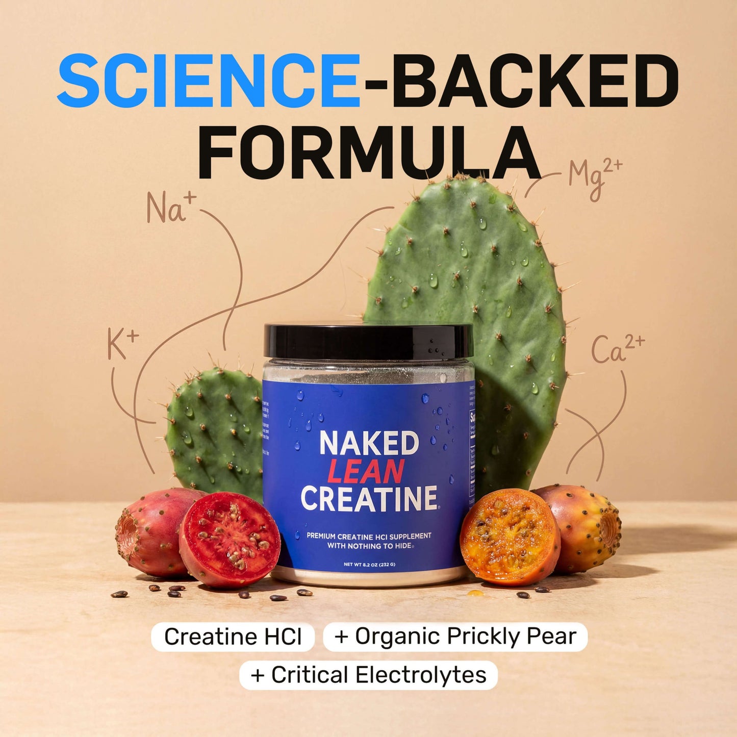 Creatine HCl Powder - Unflavored with an Easy-Mix Workout Format