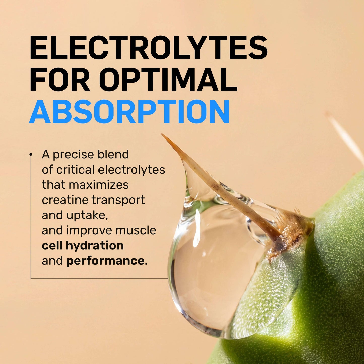 Creatine HCl Powder - Unflavored with an Easy-Mix Workout Format