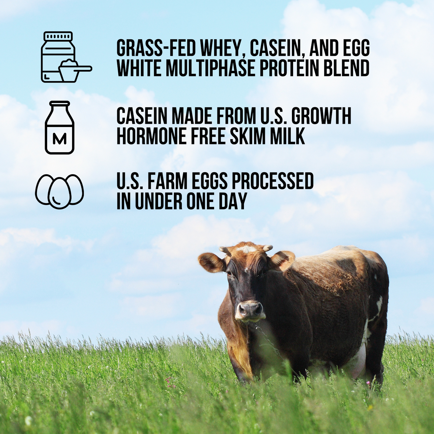 Protein Powder Blend - 3LB Egg Whey & Casein Protein Blend - 3LB for Easy Mixing at Home or On the Go