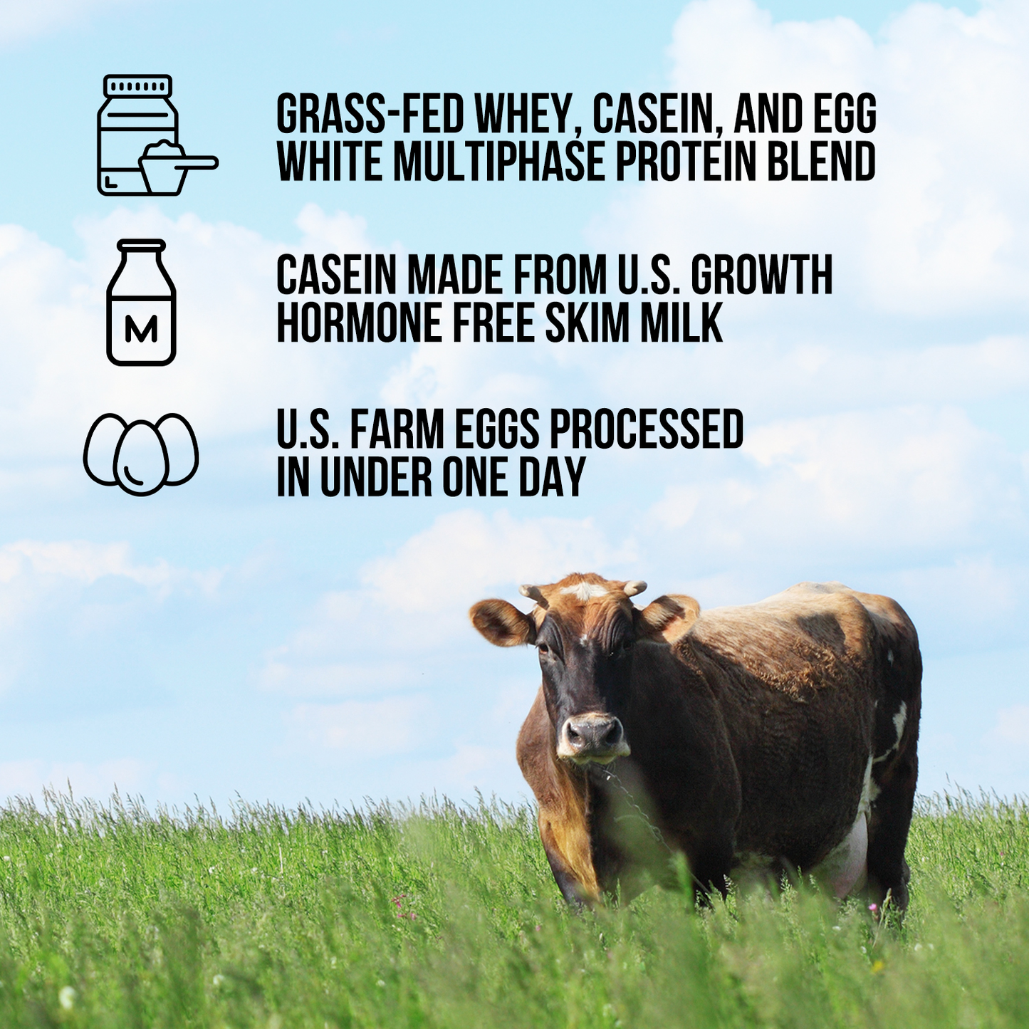 Protein Powder Blend - 1LB Egg Whey & Casein Protein Blend - 1LB for Easy Mixing at Home or On the Go
