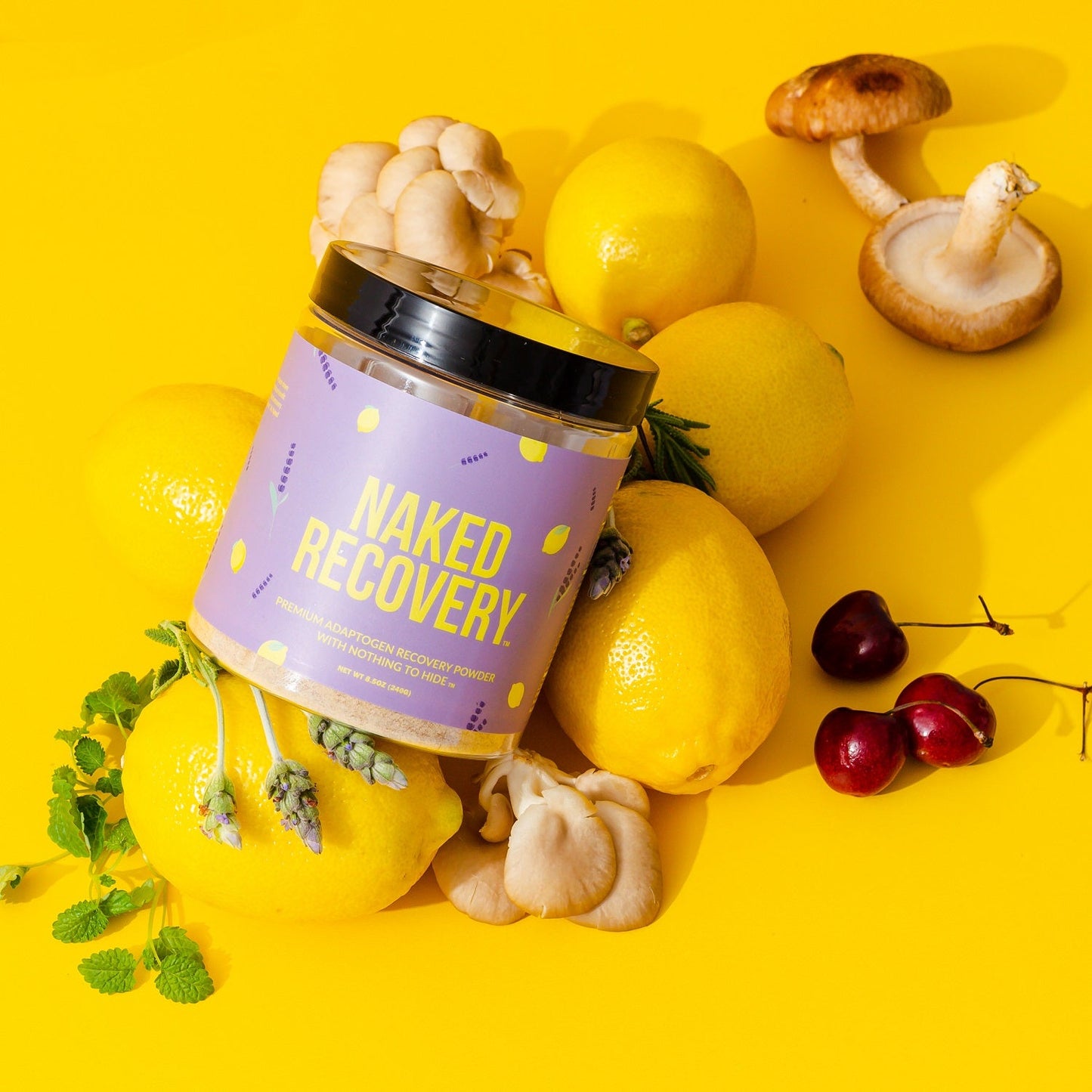 Mushroom Blend Supplement with Tart Cherry & Lemon Balm for Easy and Consistent Daily Use