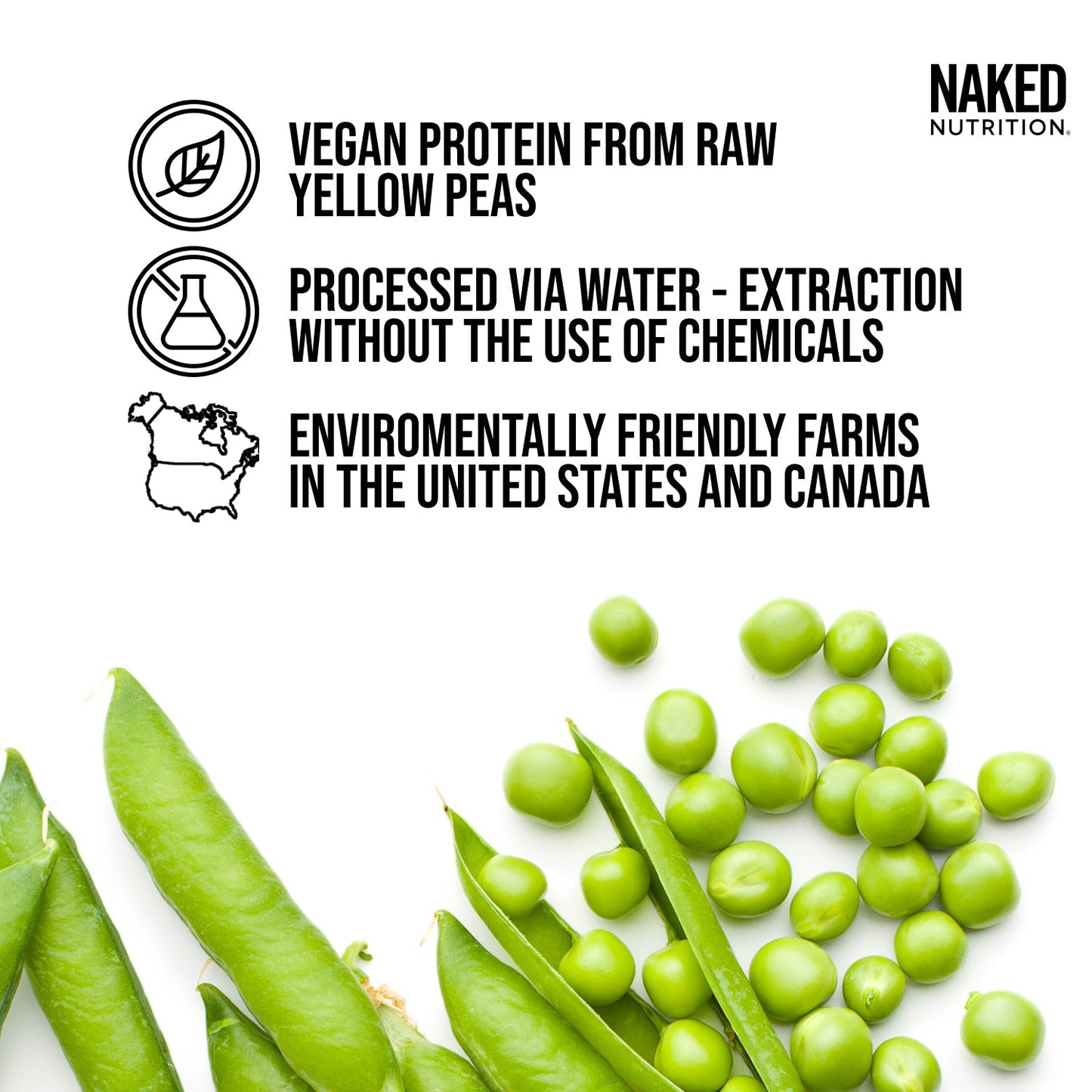 Pea Protein Powder - Unflavored - Standard Size for Easy Mixing at Home or On the Go